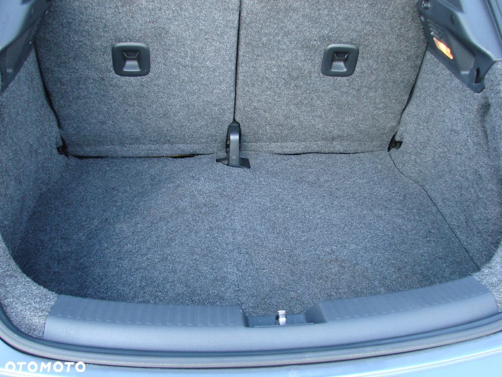 Volkswagen Beetle - 25