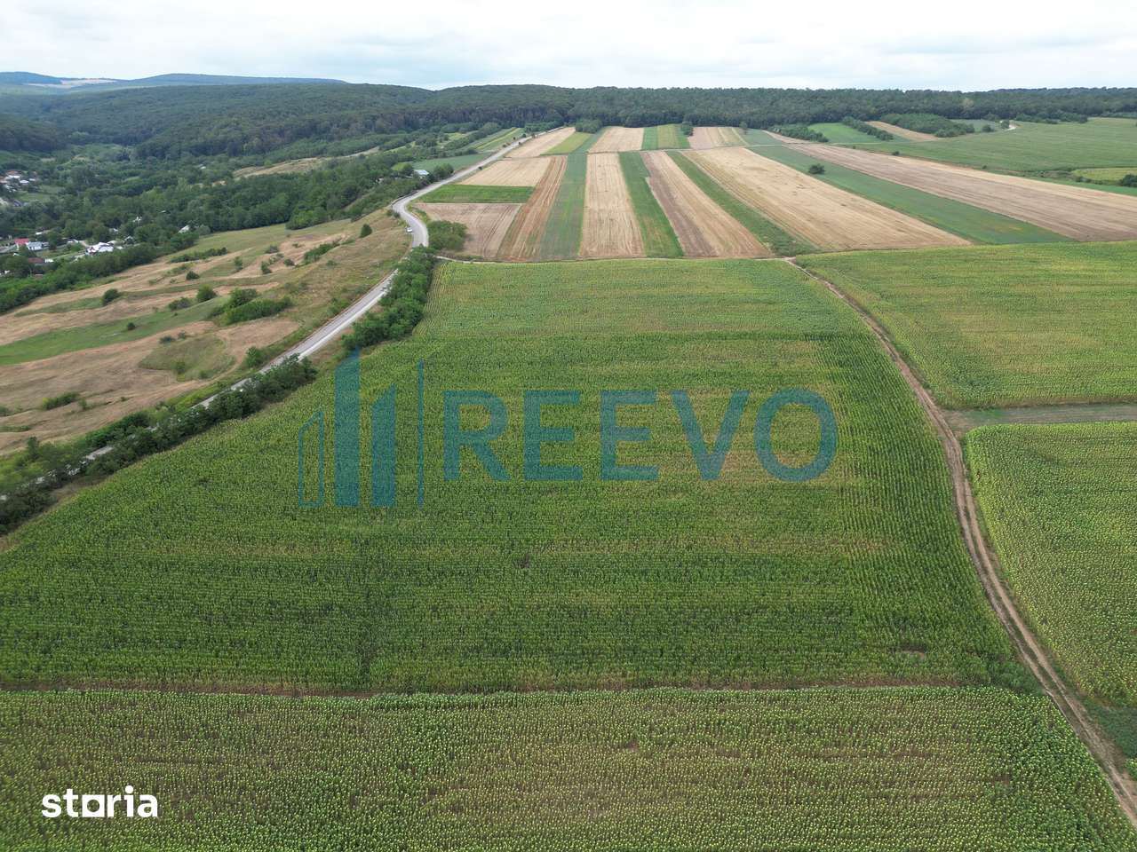 3 600 m², teren de vanzare - Bacau (judet), Racova - 8823654 • www ...