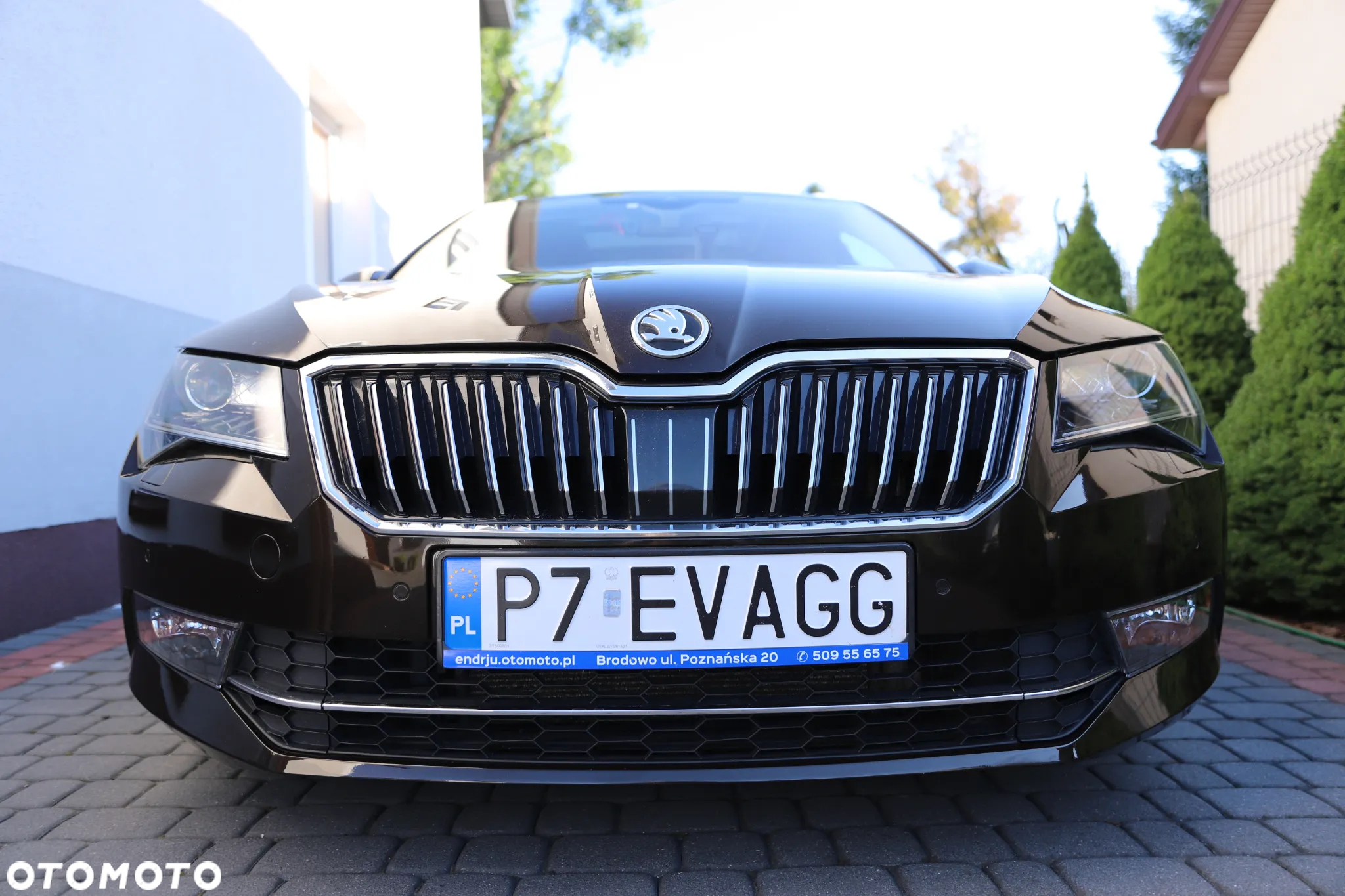 Skoda Superb - 3