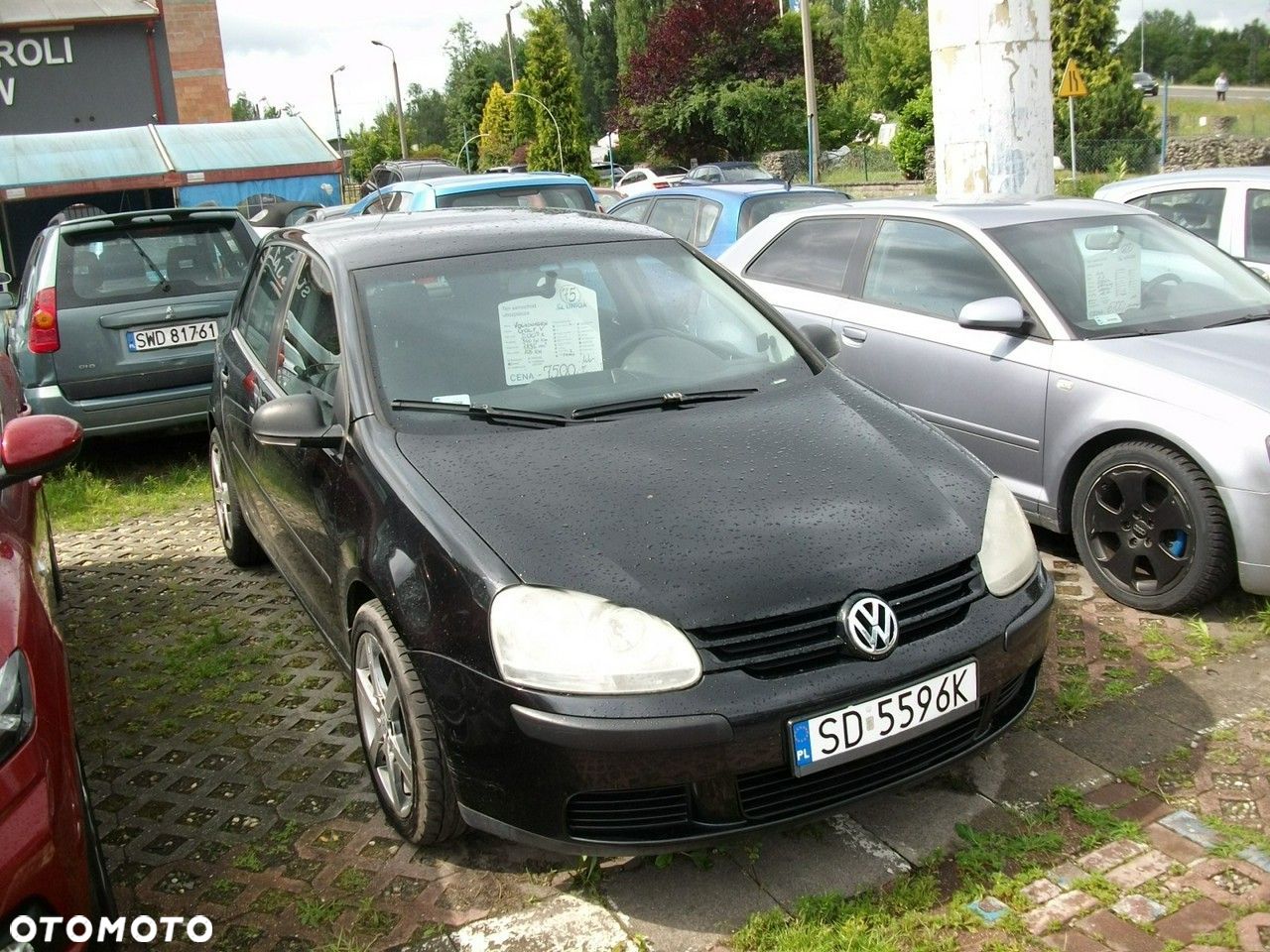 Volkswagen Golf - 1