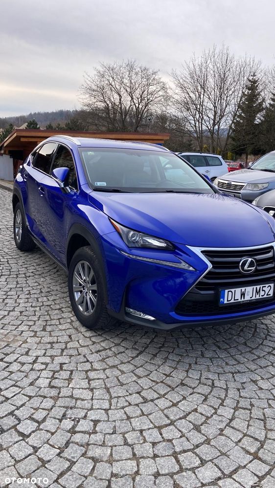 Lexus NX - 3