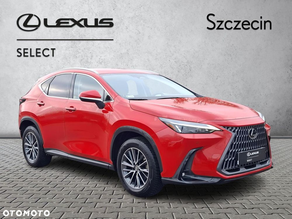 Lexus NX 350h Prestige AWD - 7