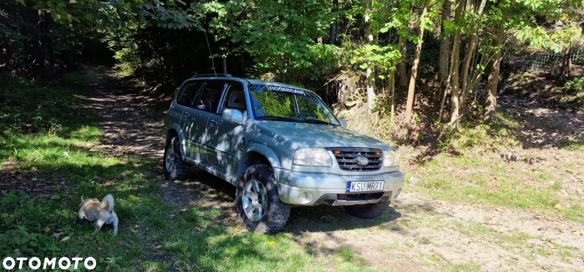 Suzuki Grand Vitara 2.7 V6 - 19