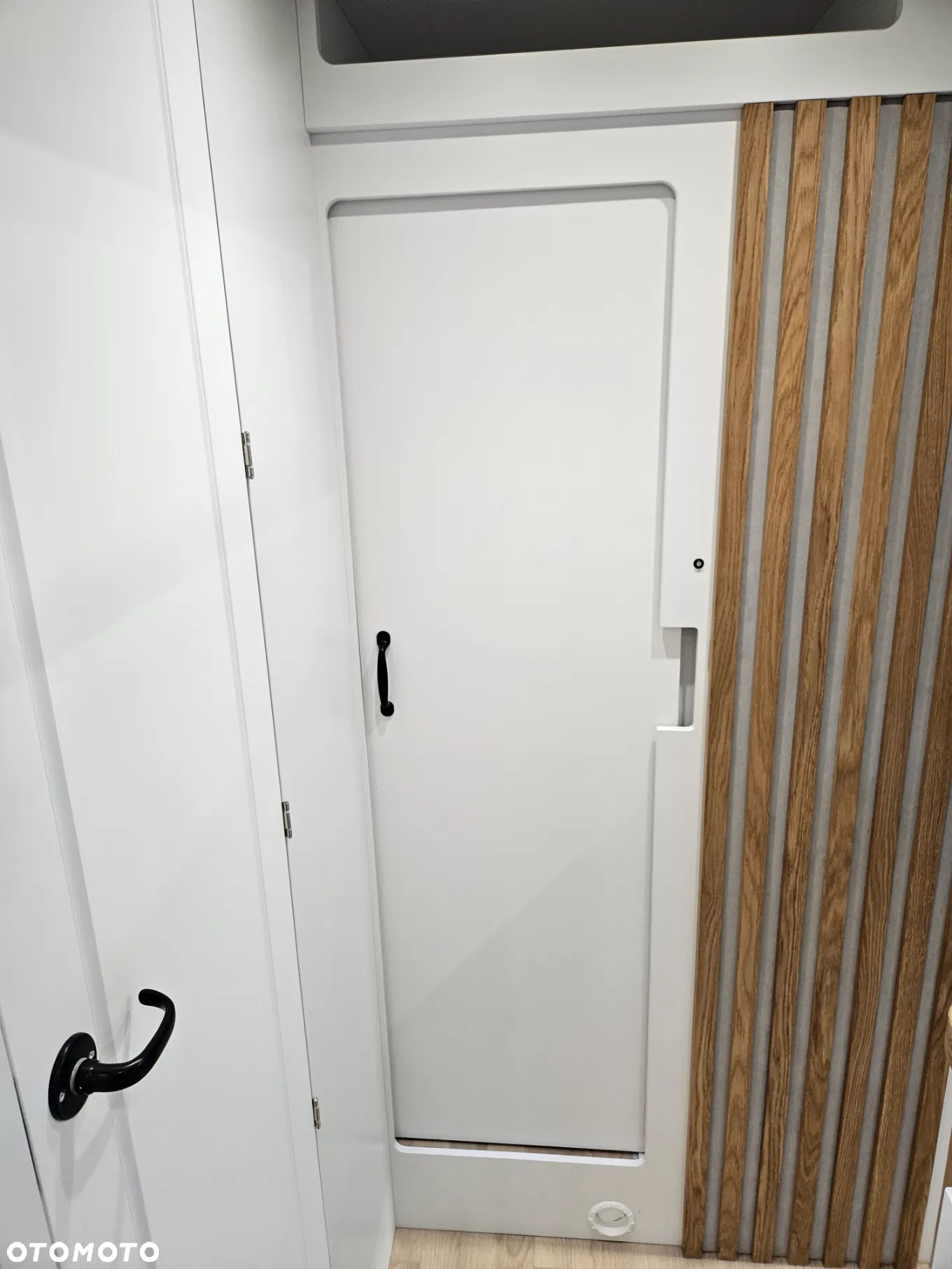 Affinity Freedo 599 - 6