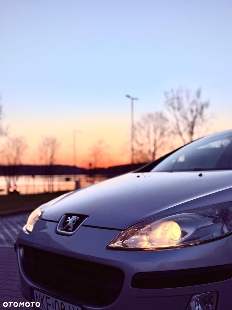 Peugeot 407 115 - 6