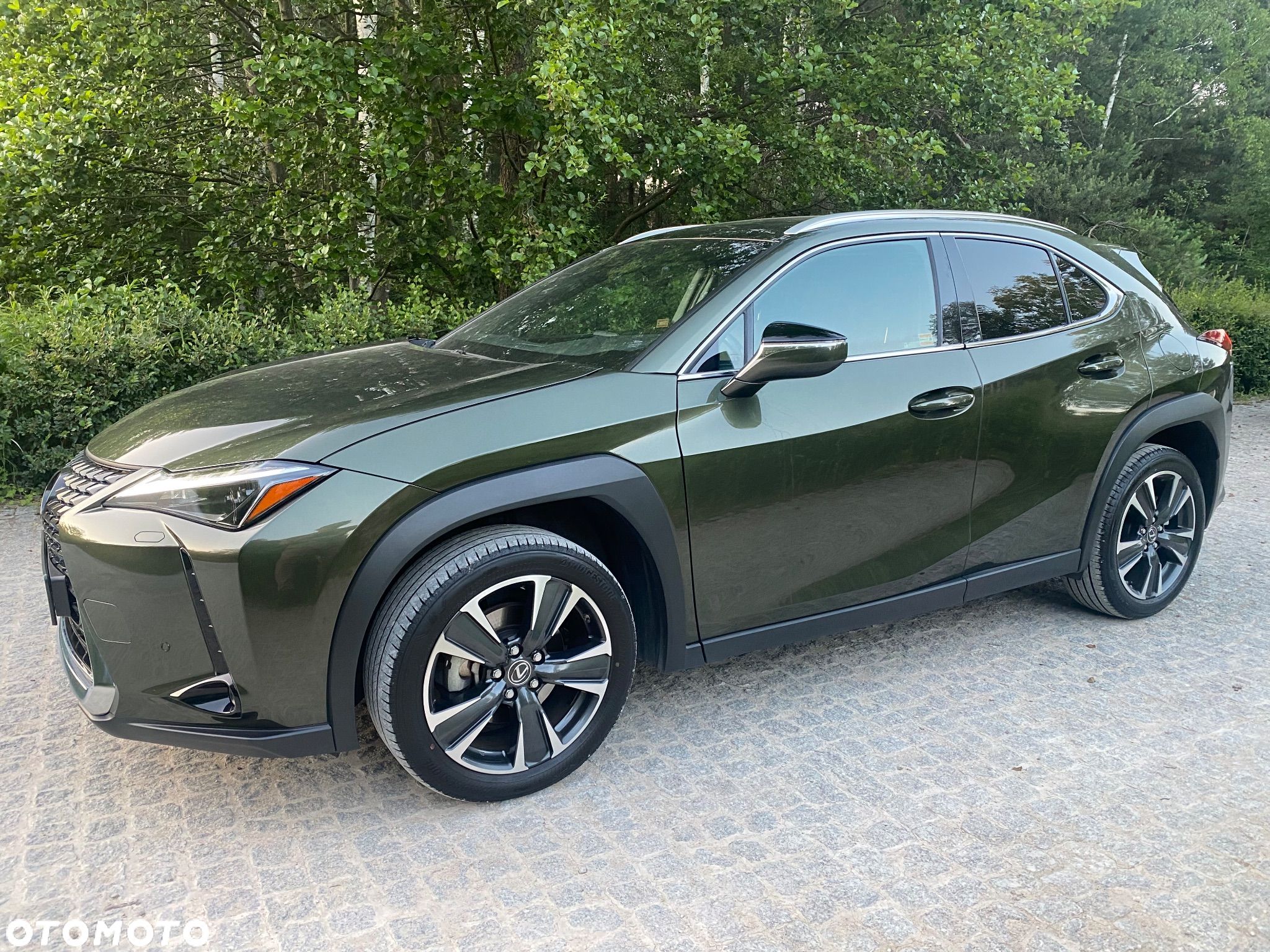 Lexus UX 250h GPF Business Edition 2WD - 1