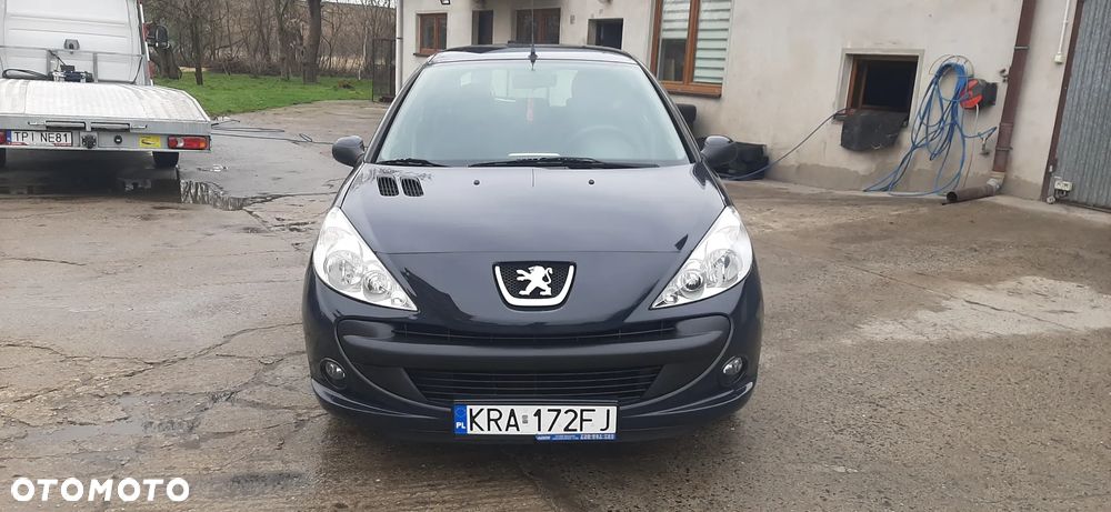Peugeot 206 plus - 2