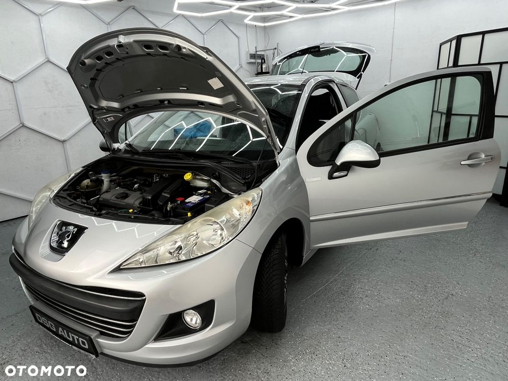 Peugeot 207 - 29