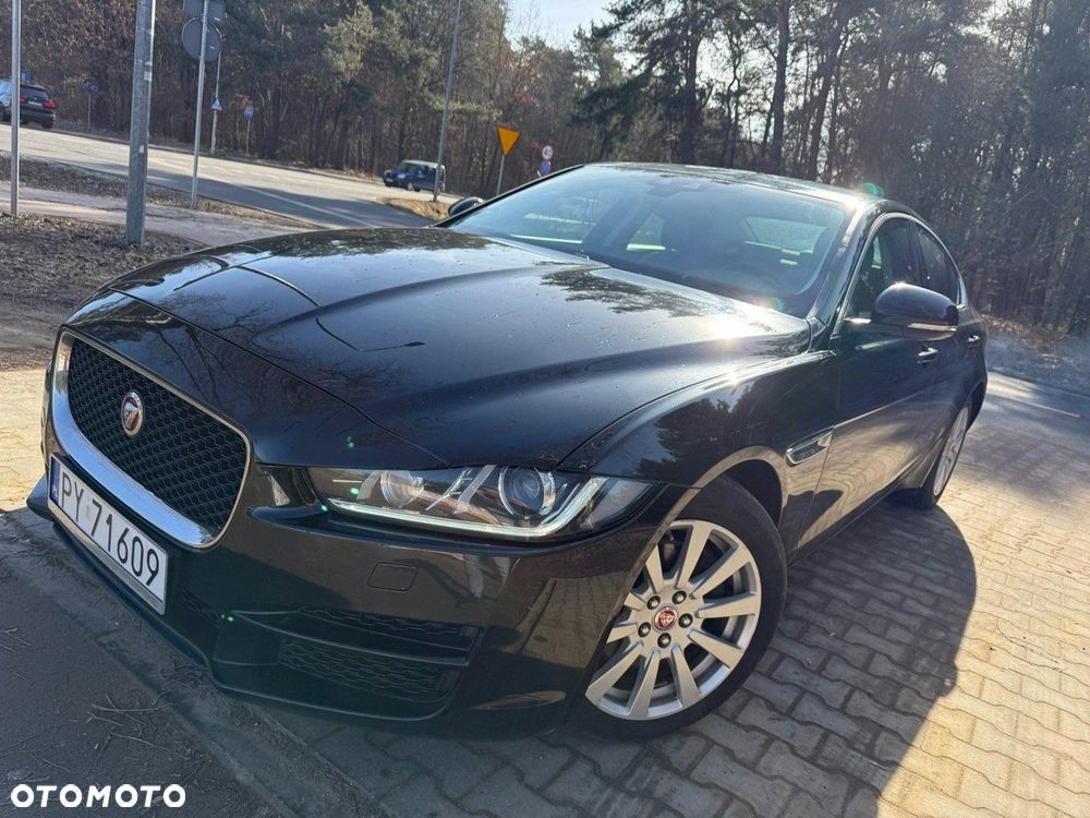 Jaguar XE - 2