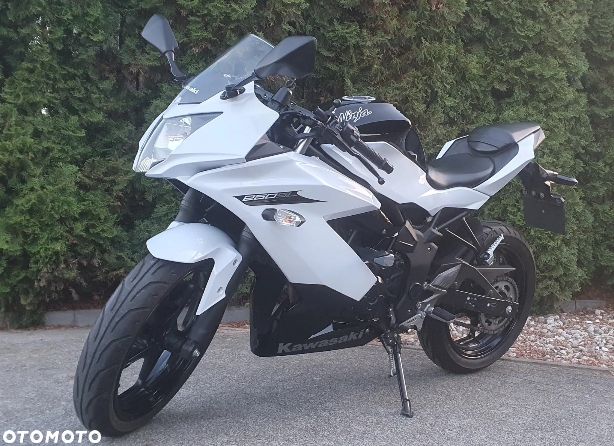 Kawasaki Ninja 250R - 4