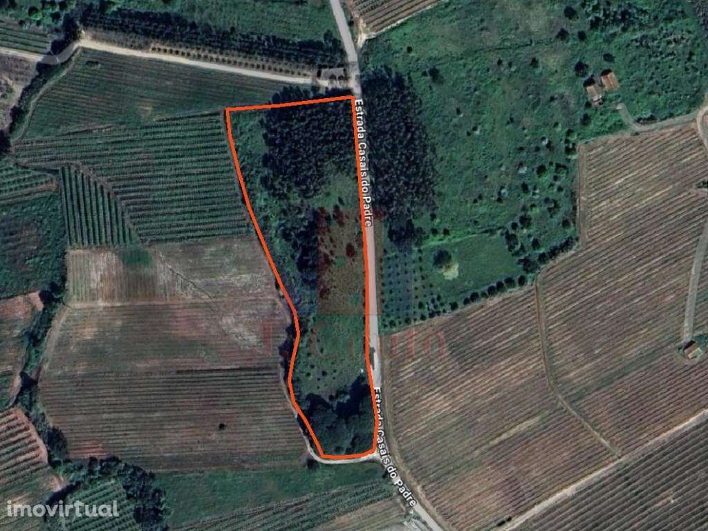 Terreno Rústico com 9.630 m² em A-Dos-Francos, Caldas da Rainha - Grande imagem: 2/16