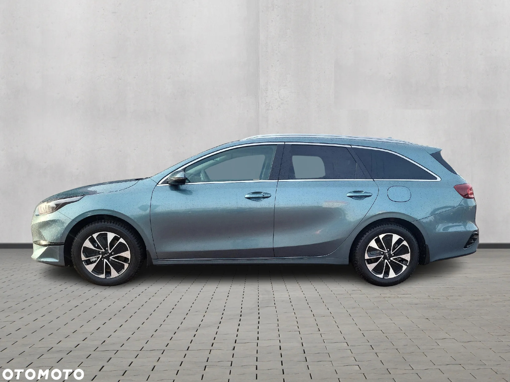 Kia Ceed 1.5 T-GDI Tribute - 2
