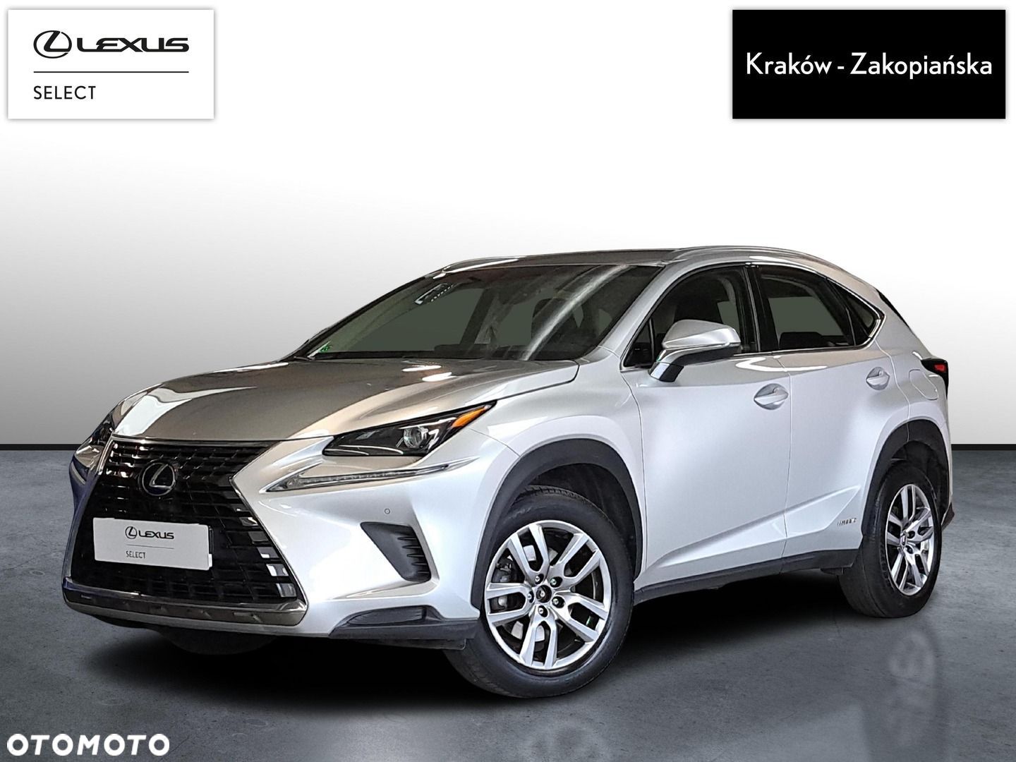 Lexus NX - 1