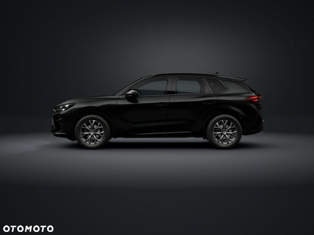 Cupra Terramar - 2
