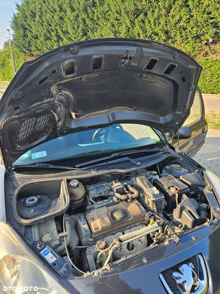 Peugeot 206 plus 75 - 7
