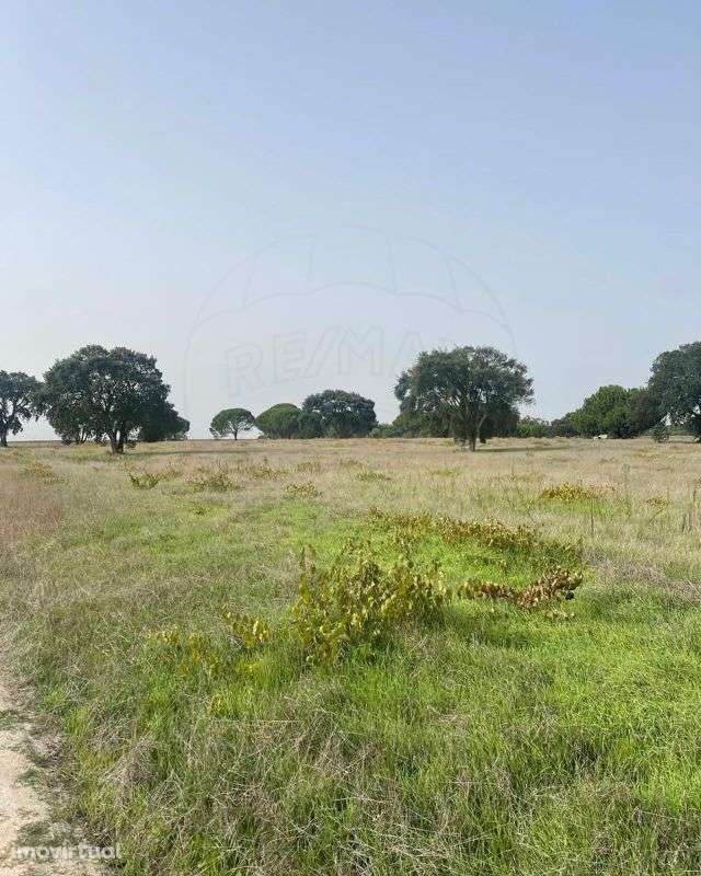 Terreno  para venda - Grande imagem: 4/7