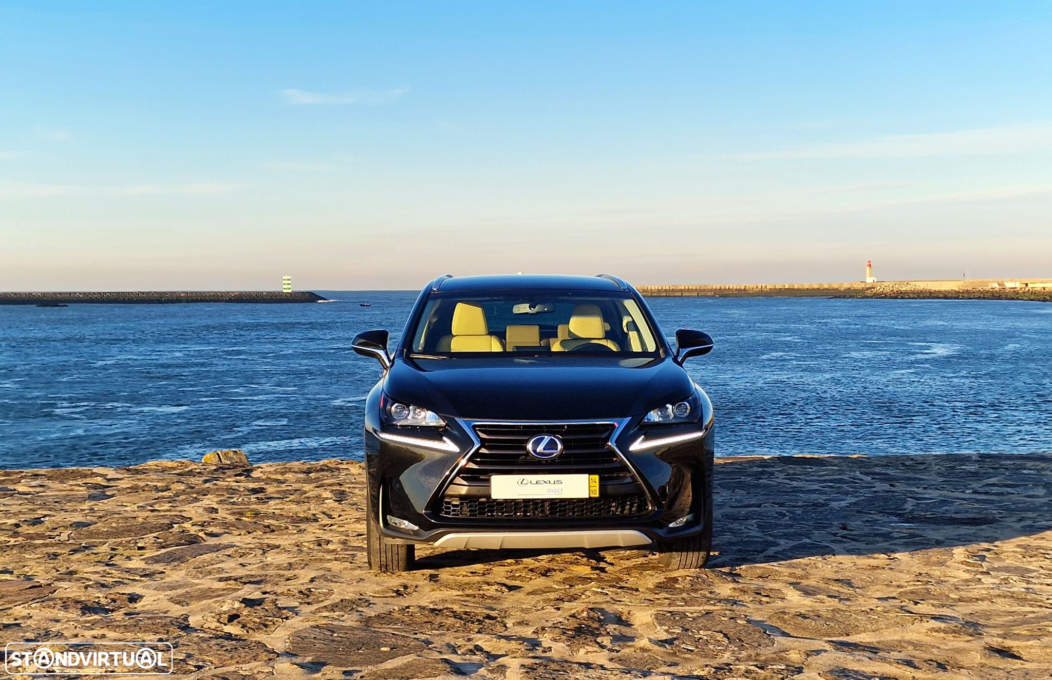 Lexus NX 300h - 8