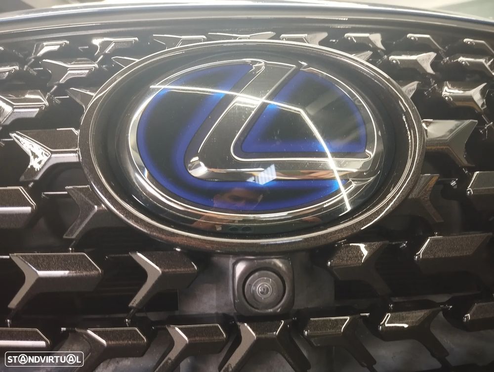 Lexus UX 300e Executive+ - 9