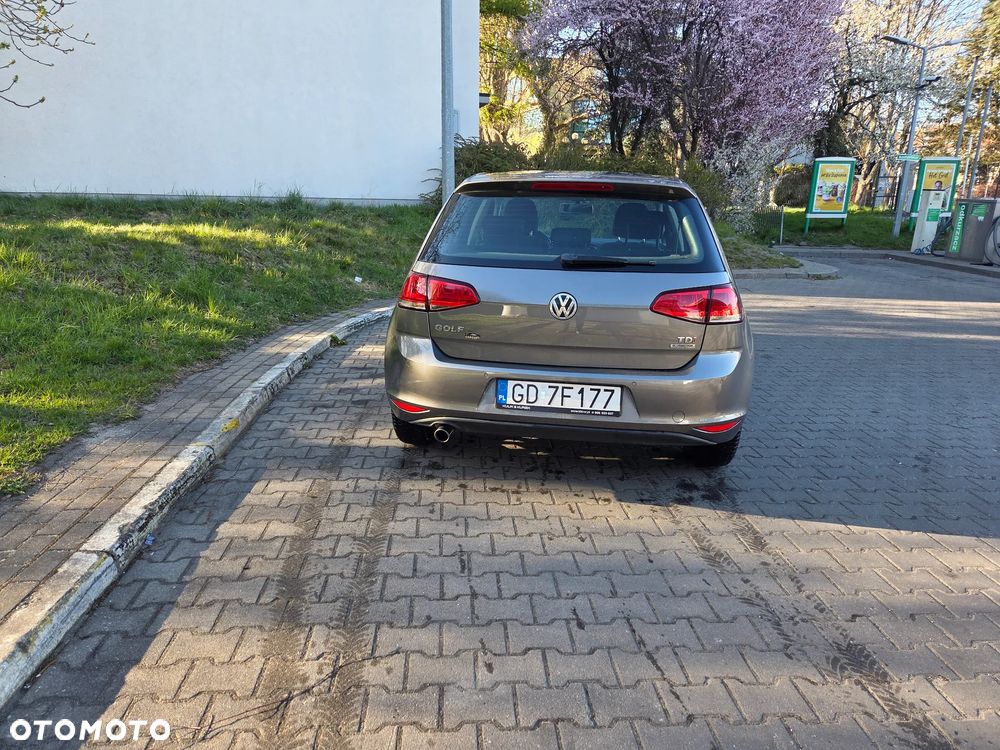Volkswagen Golf 1.6 TDI DPF BlueMotion - 2