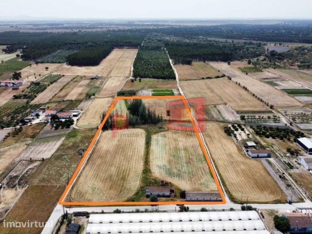 TERRENO DE 9HA COM VIABILIDADE PARA 16 FOGOS - TAIPADAS - Grande imagem: 2/5