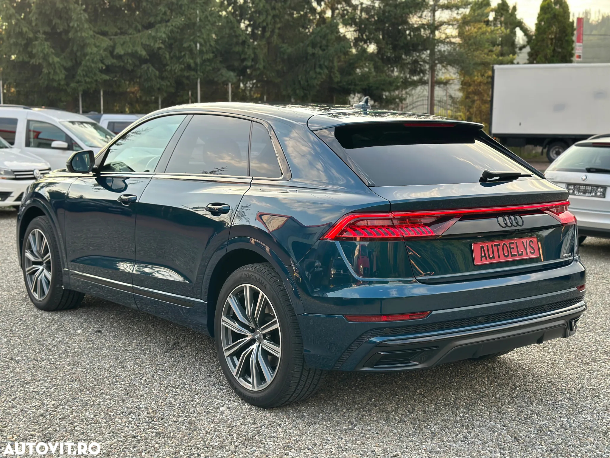 Audi Q8 3.0 50 TDI quattro Tiptronic MHEV - 5