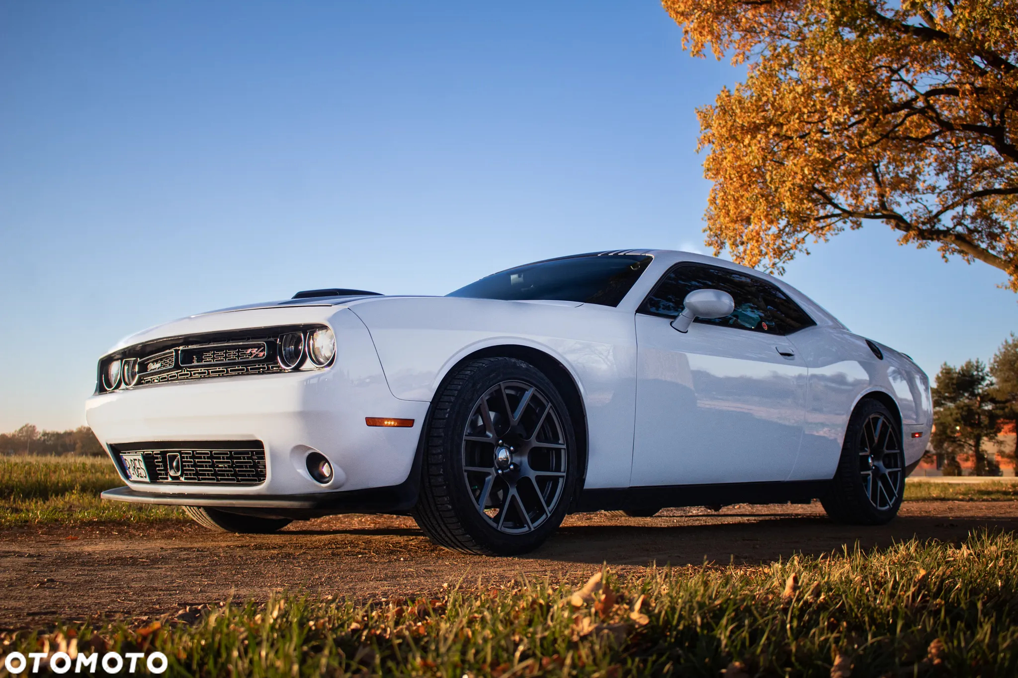 Dodge Challenger Automatik R/T Plus Shaker - 16