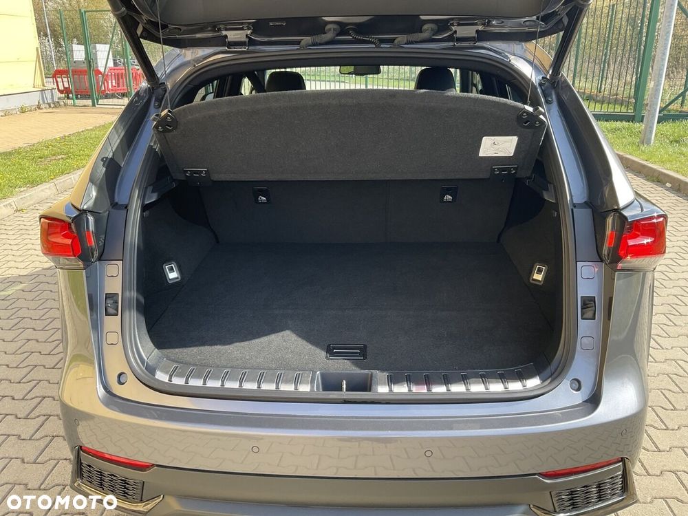 Lexus NX 300h F Sport Edition AWD - 36