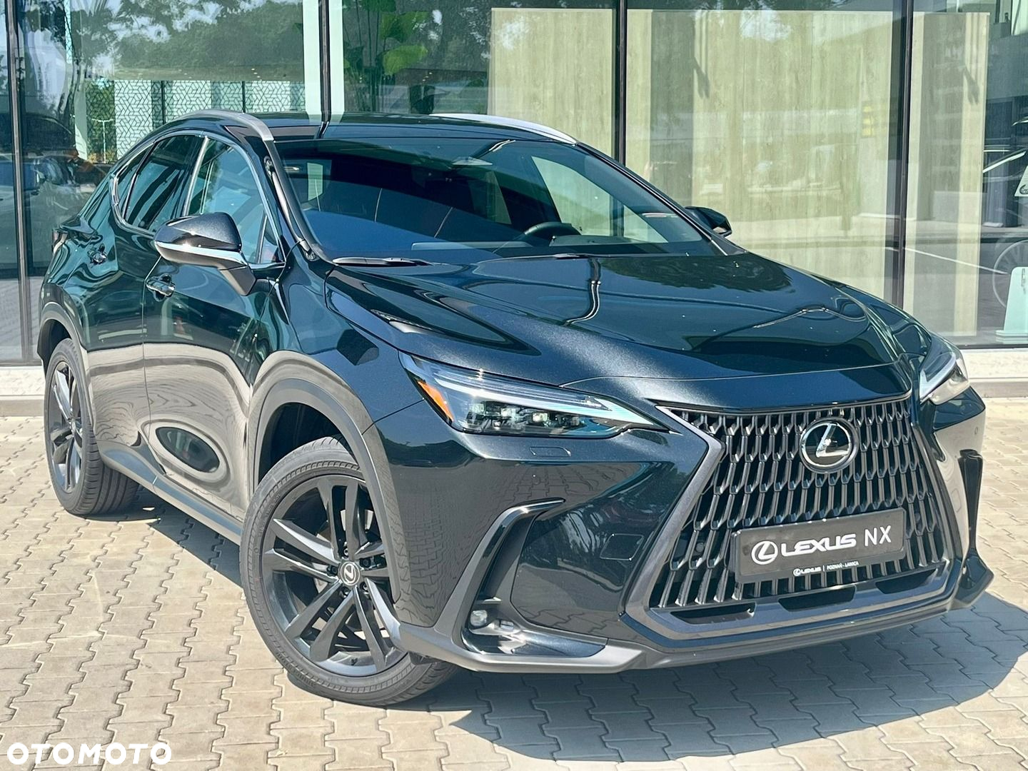 Lexus NX - 9