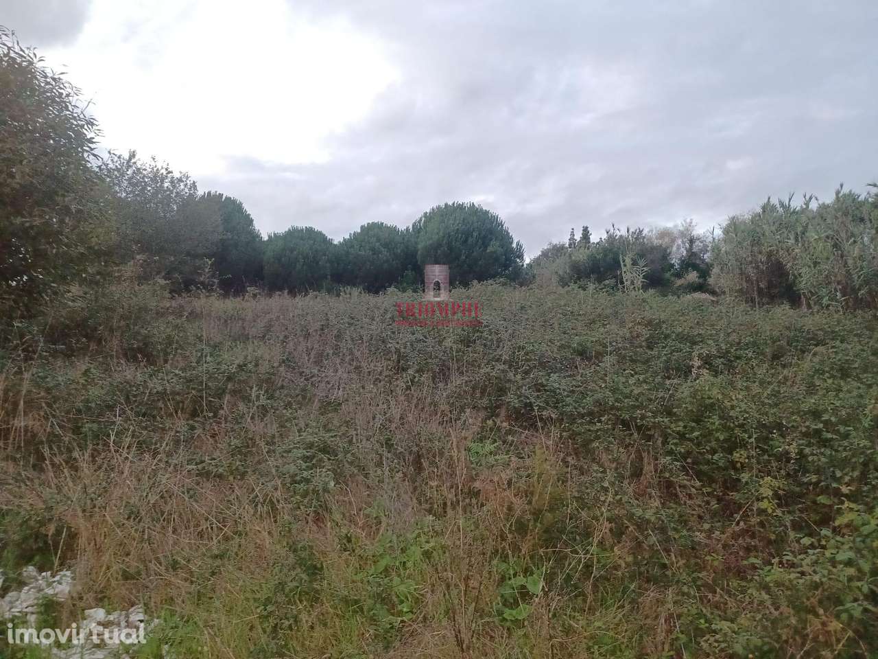 Terreno Rústico 11.500m2, Batalha - Grande imagem: 3/9