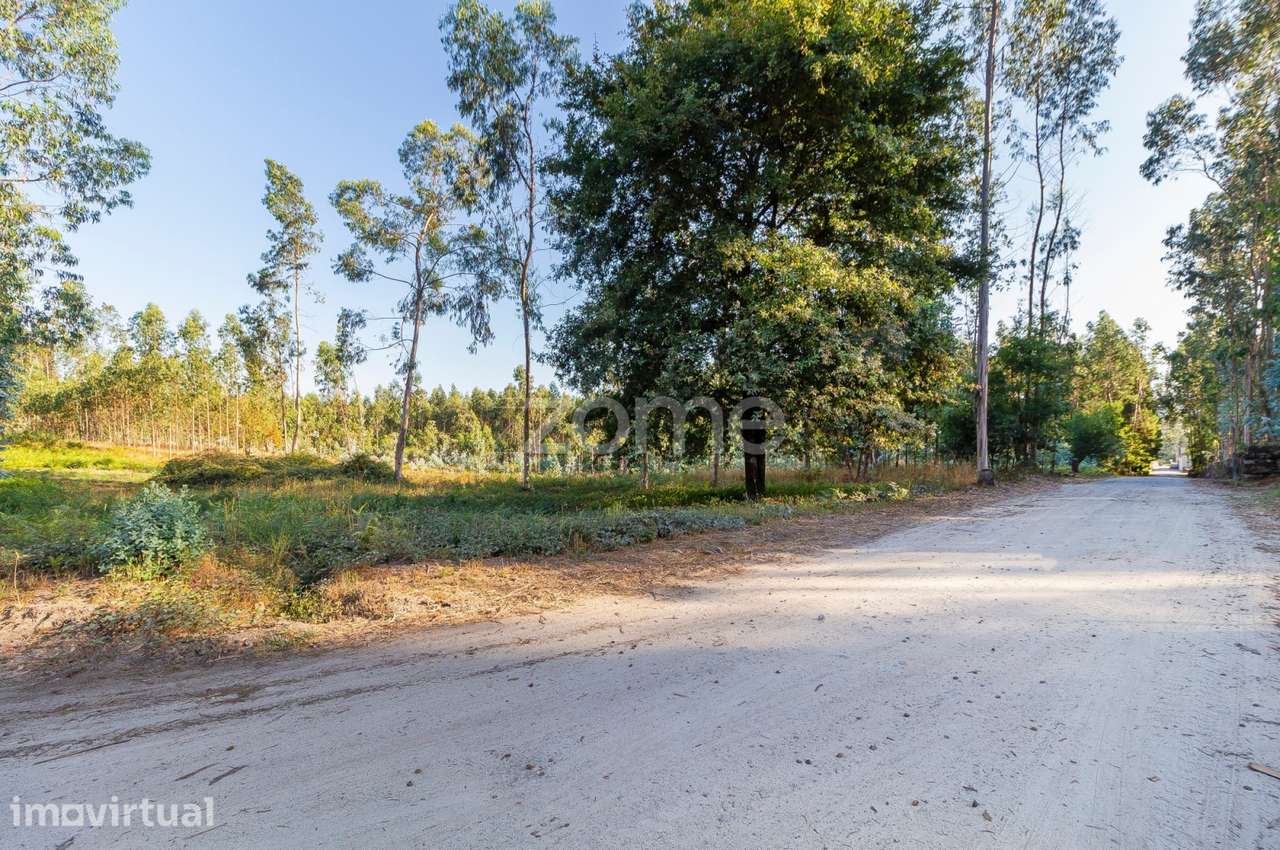 Terreno Rústico com 7.900 m2 em Monte Córdova - Santo Tirso - Grande imagem: 5/11
