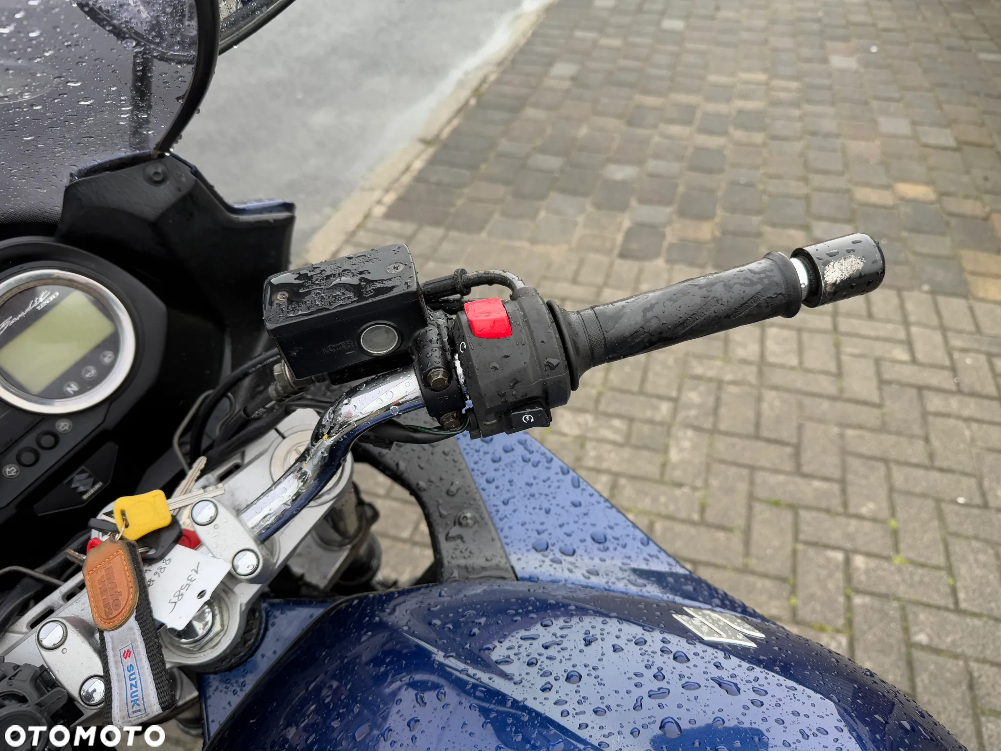 Suzuki Bandit - 31