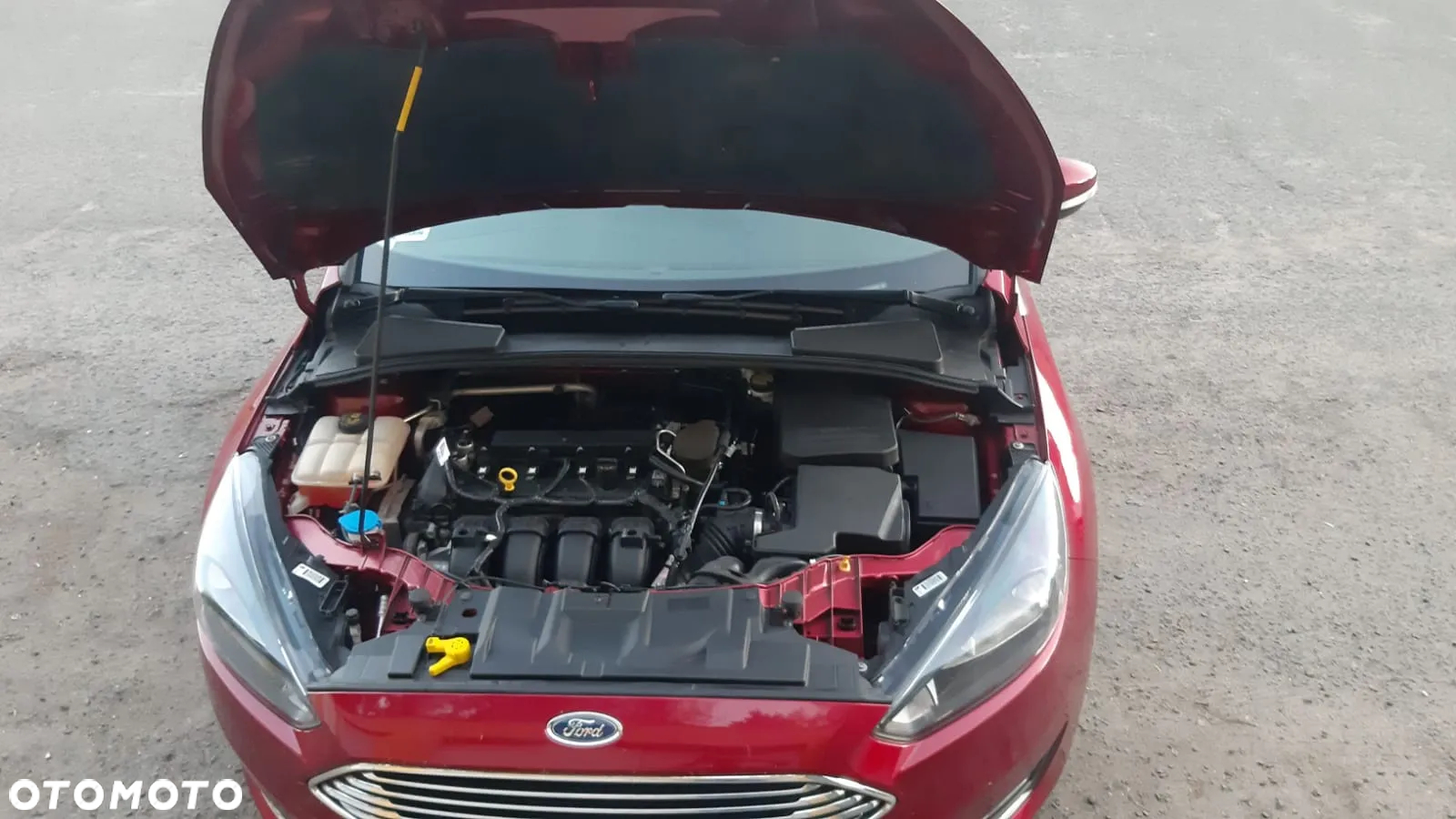 Ford Focus - 7