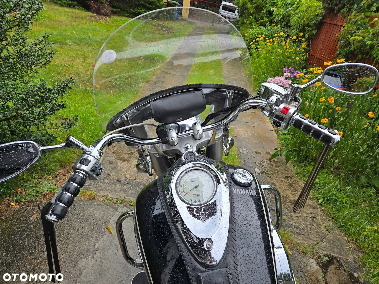 Yamaha Wild star - 5