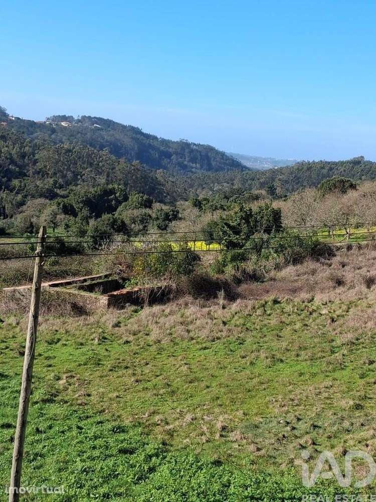 Terreno misto em Turquel - Grande imagem: 2/9