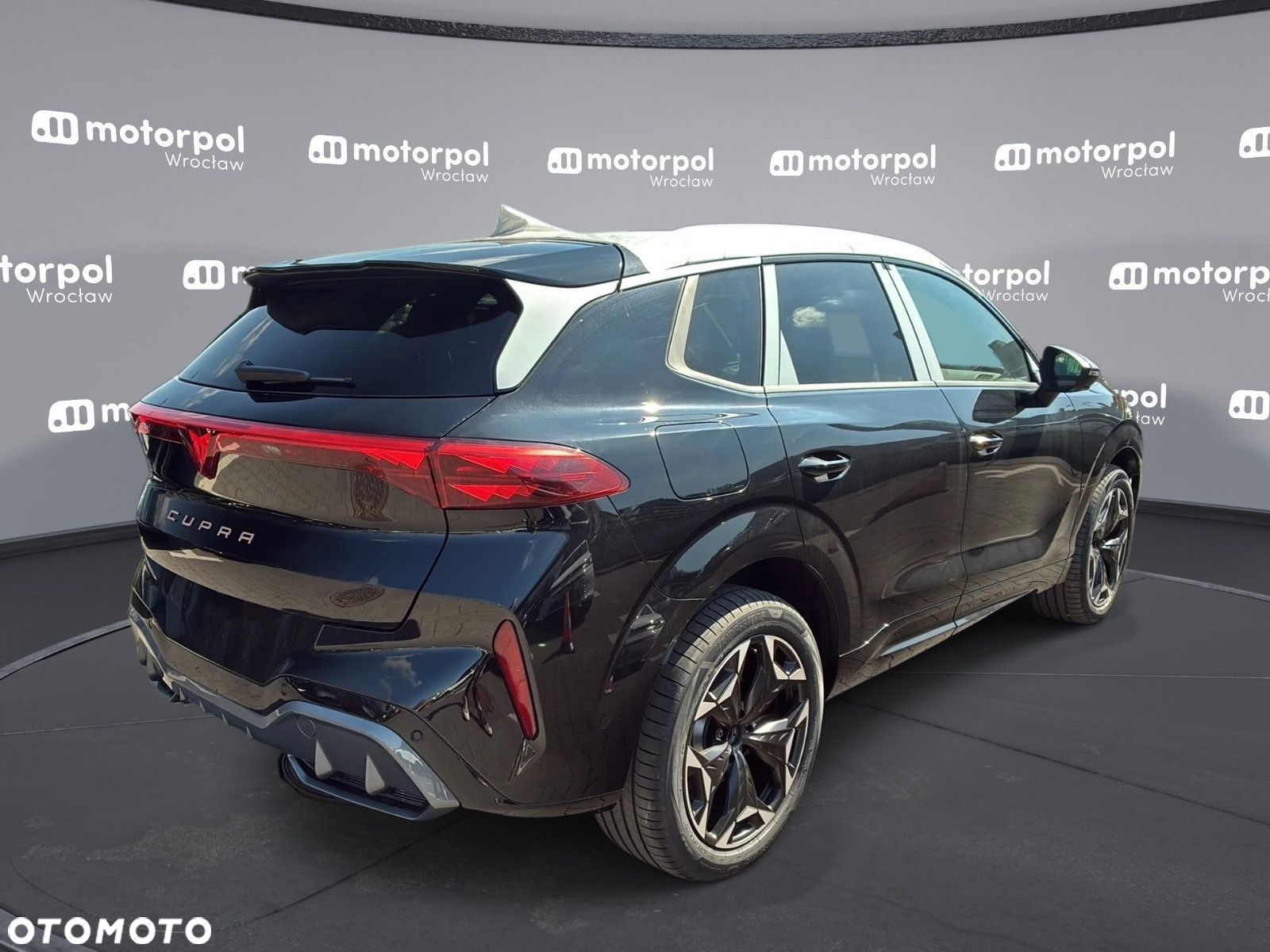 Cupra Terramar - 10