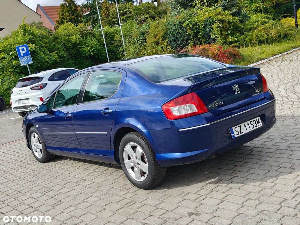Peugeot 607 160 Platinum - 12