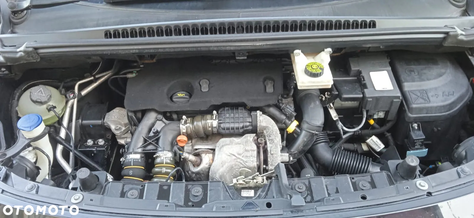 Peugeot 3008 - 6
