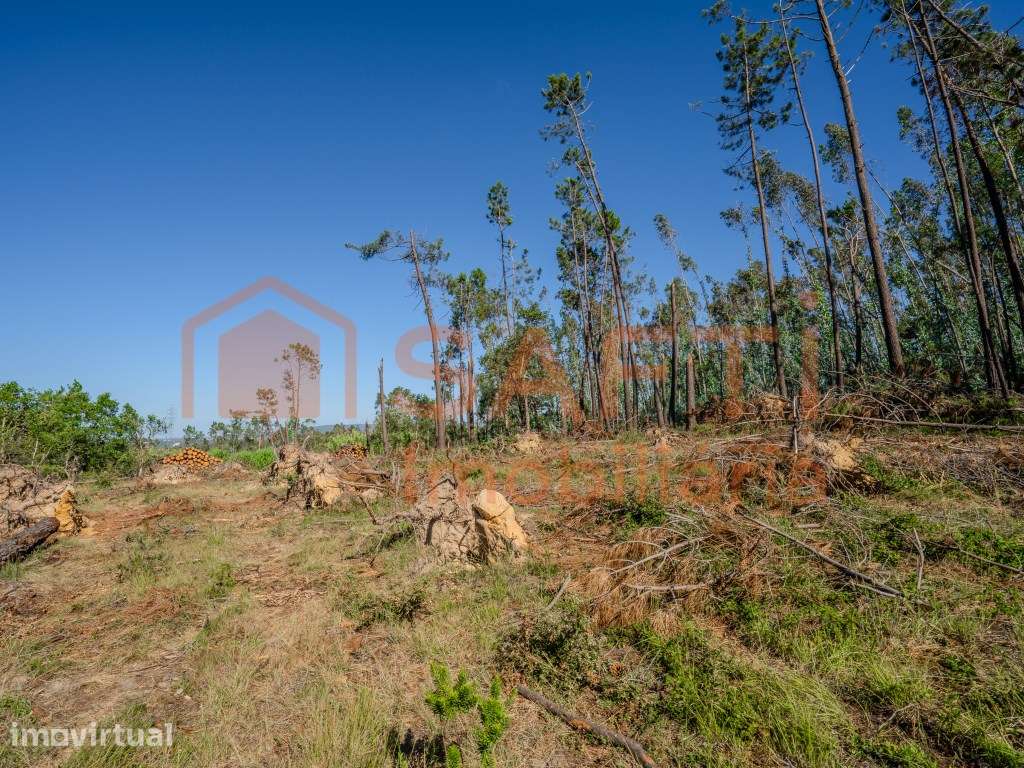 Terreno para construção - Grande imagem: 4/12
