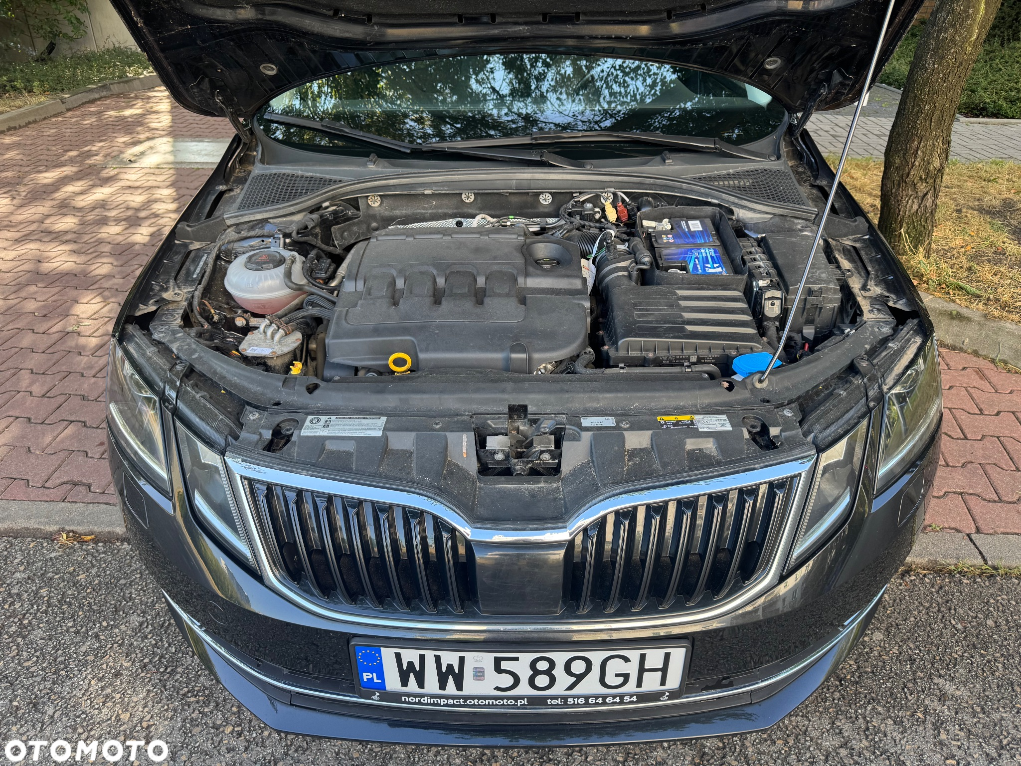 Skoda Octavia 2.0 TDI 4x4 Style DSG - 16