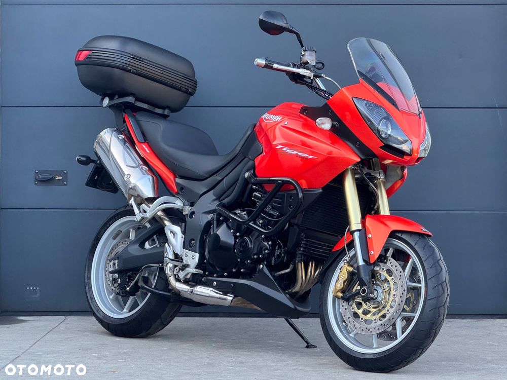 Triumph Tiger - 1