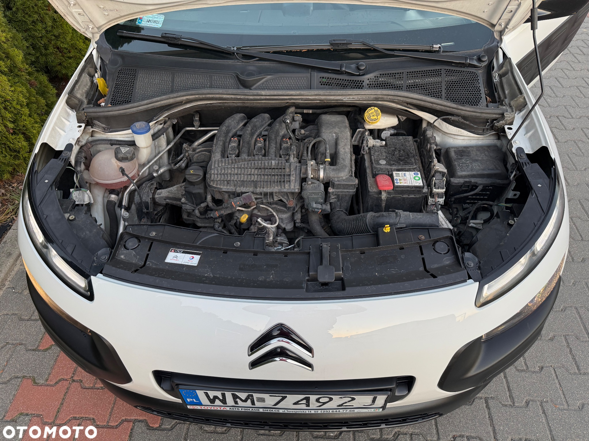 Citroën C4 Cactus 1.2 PureTech MoreLife - 12