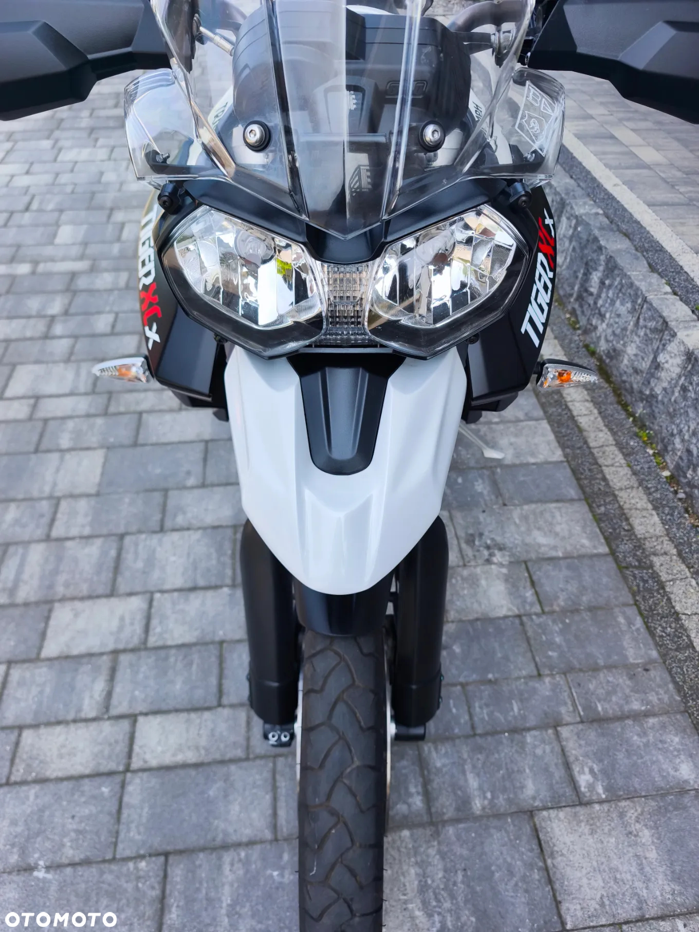 Triumph Tiger - 16