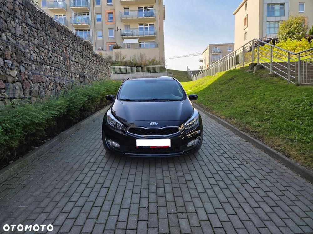 Kia ProCeed - 2