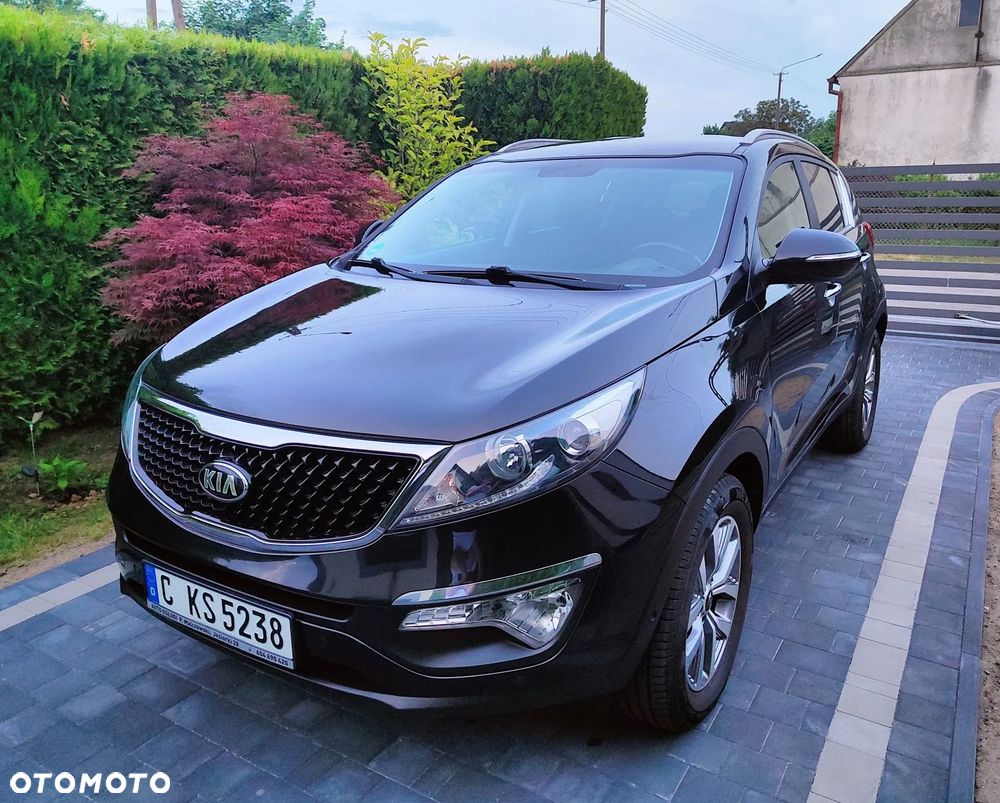 Kia Sportage - 3