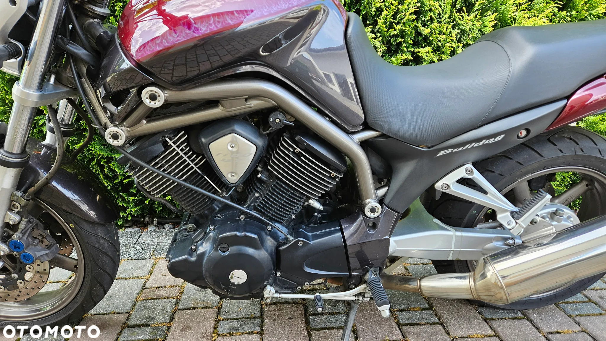 Yamaha Bulldog - 14