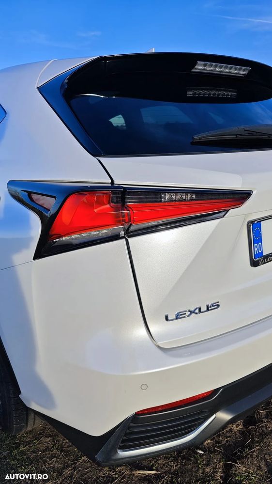 Lexus Seria NX 300h AWD Luxury - 10