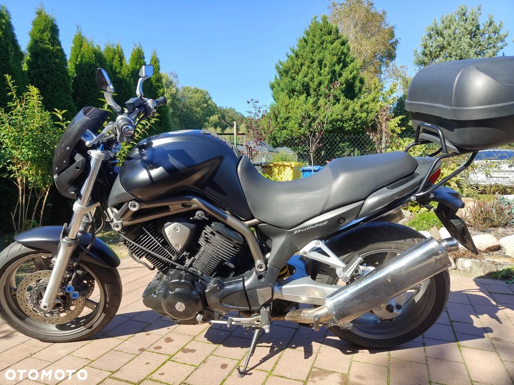Yamaha Bulldog - 9