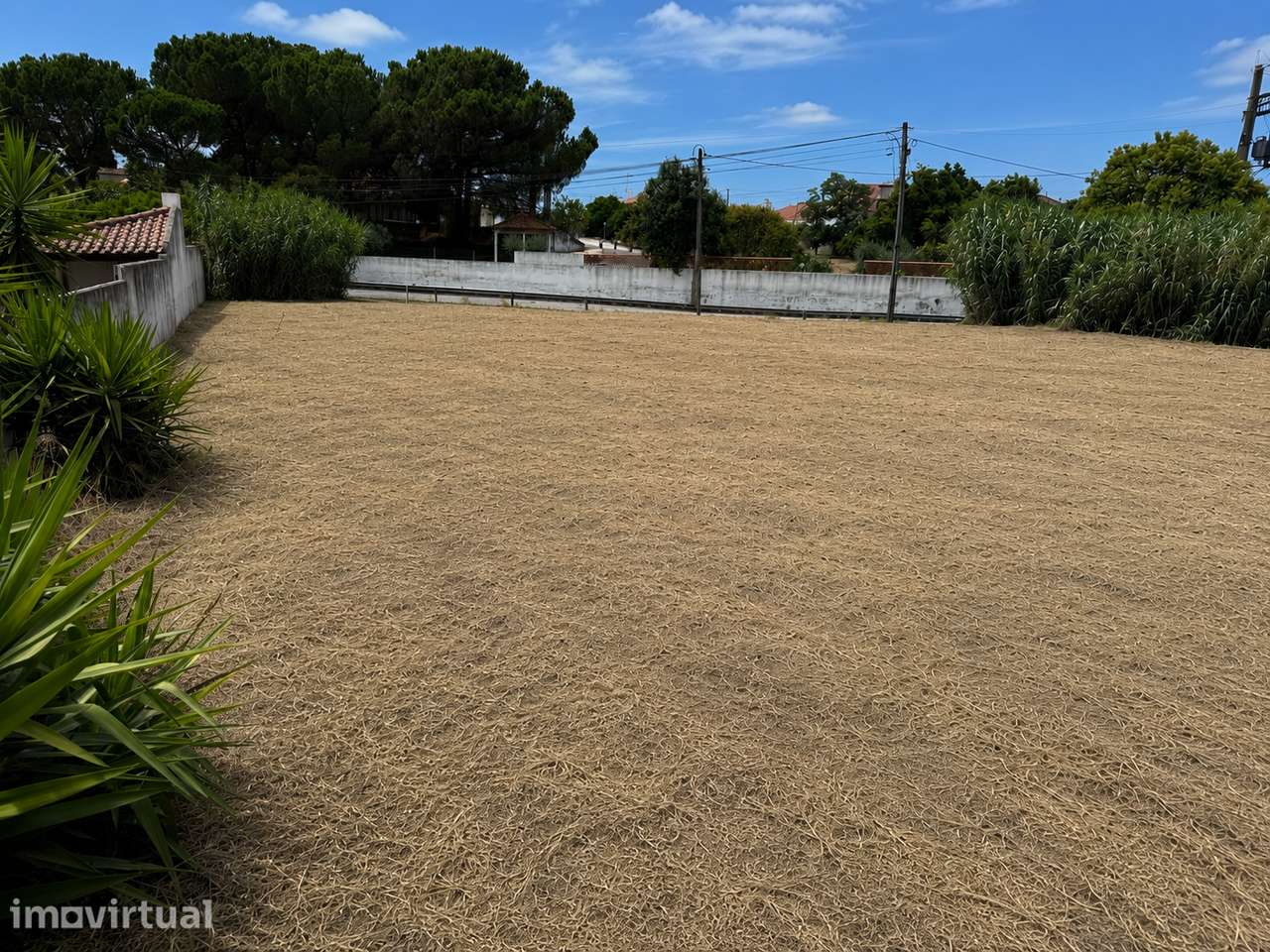 Terreno urbano de 875m² em Riachos - Grande imagem: 3/4