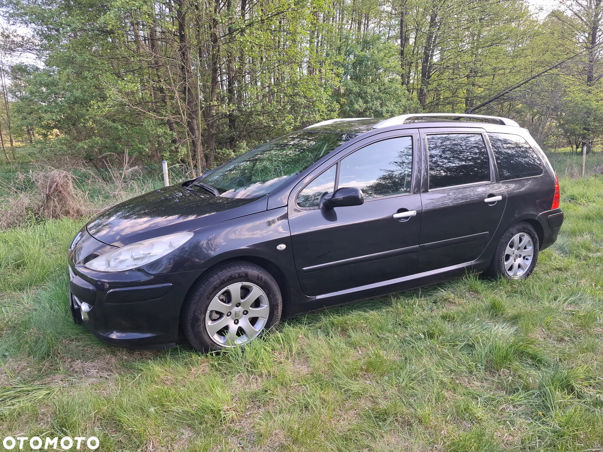 Peugeot 307 - 3