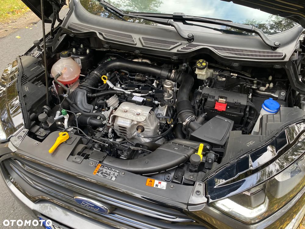 Ford EcoSport - 18